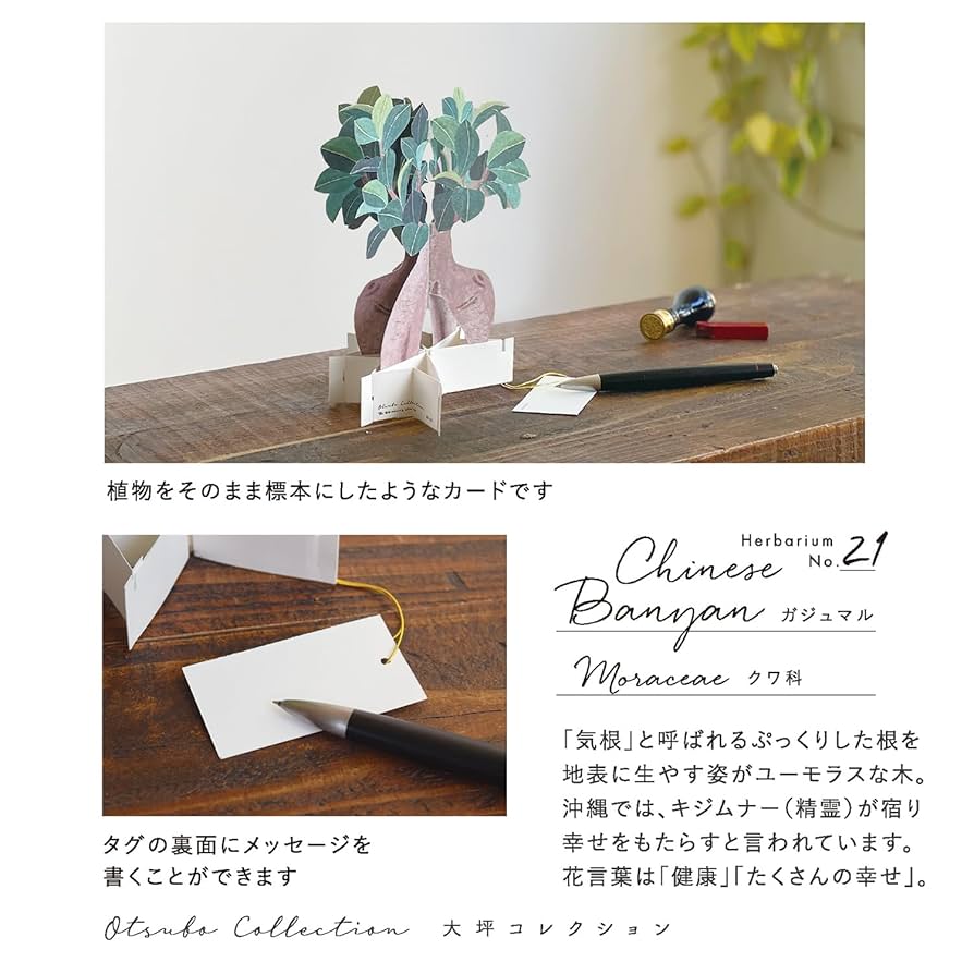 Amazon | グリーティングライフ ブルーミングカード ガジュマル